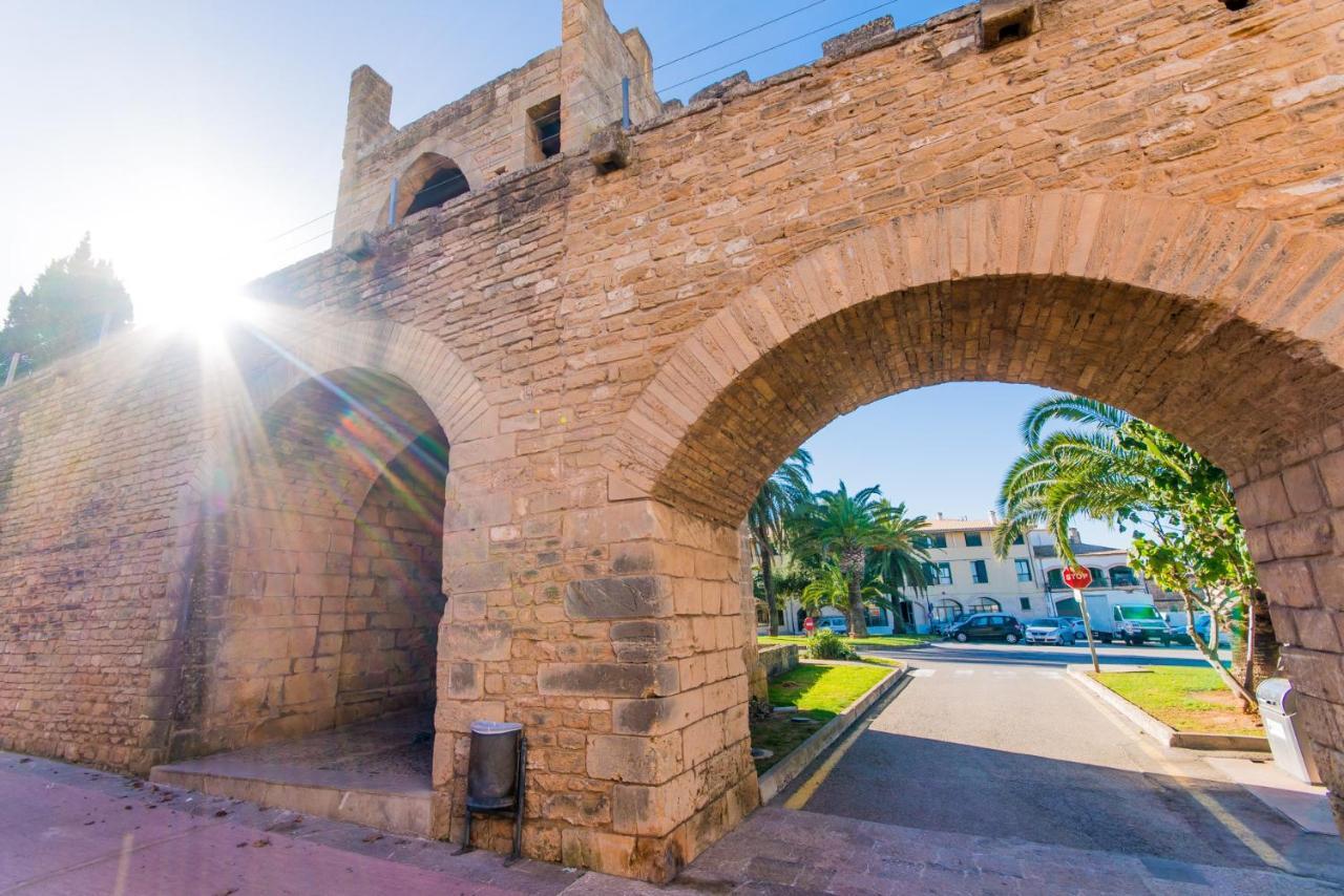 Ideal Mallorca - Barbera * Alcudia (Mallorca)
